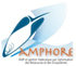 logo Amphore